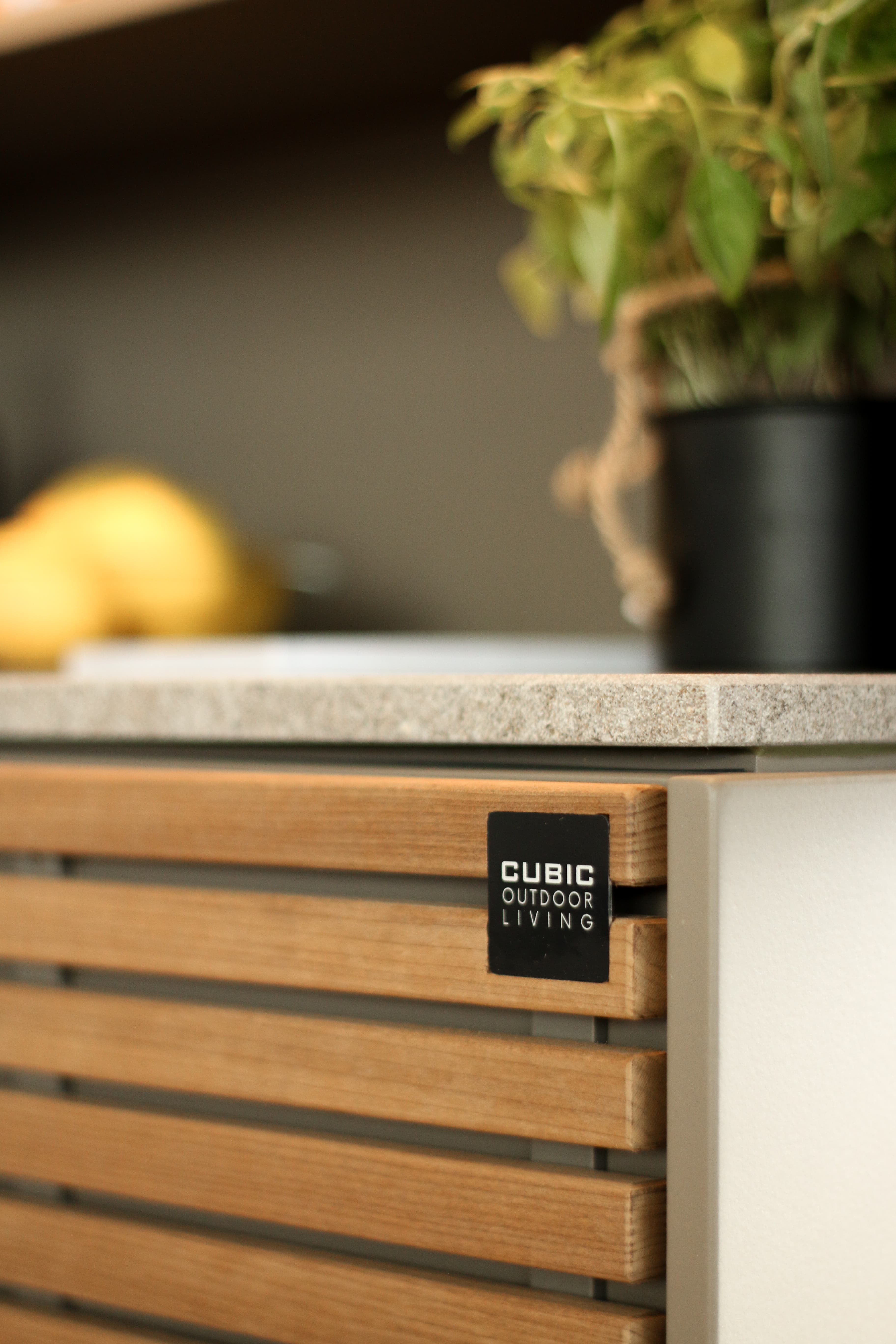 Cubic C2 Linear Kitchen - Close Up Detail
